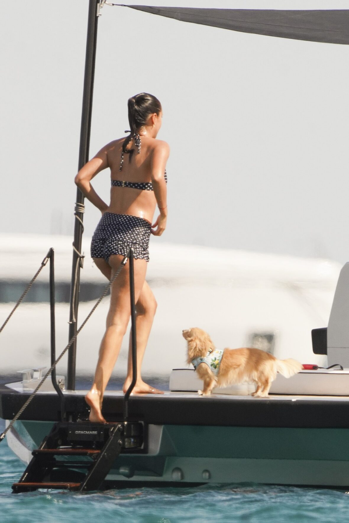 Alexandra Saint Mleux and pup Leo aboard a boat in Saint-Tropez