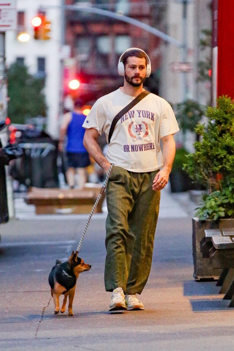 Dylan O'Brien walks his dog in NYC