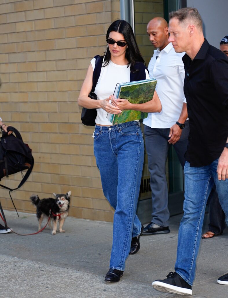 Kendall Jenner in white top and blue jeans