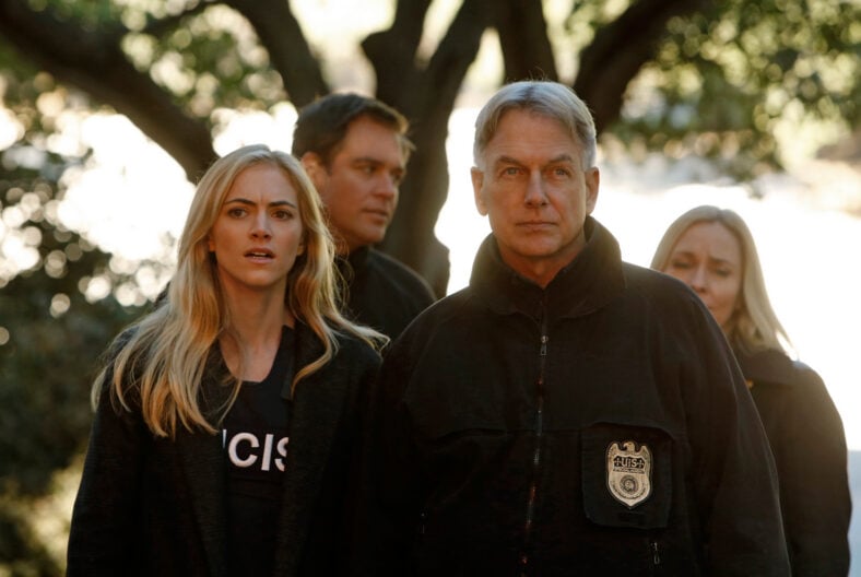 Mark Harmon on NCIS
