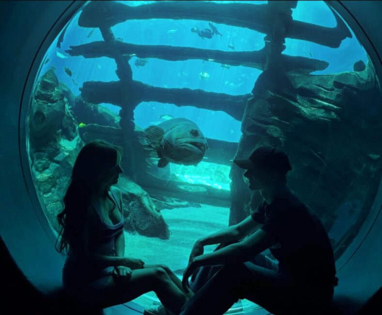 Mckenna Grace and Mason Thames visit an aquarium