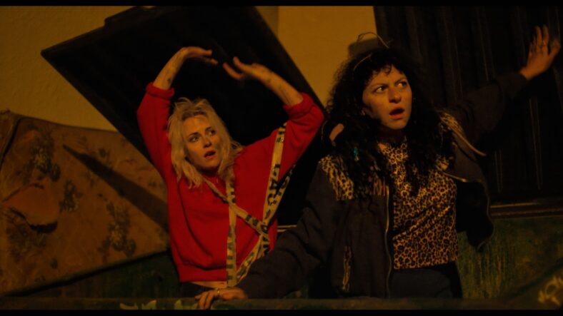 Kristen Stewart and Alia Shawkat in The Wrong Girls