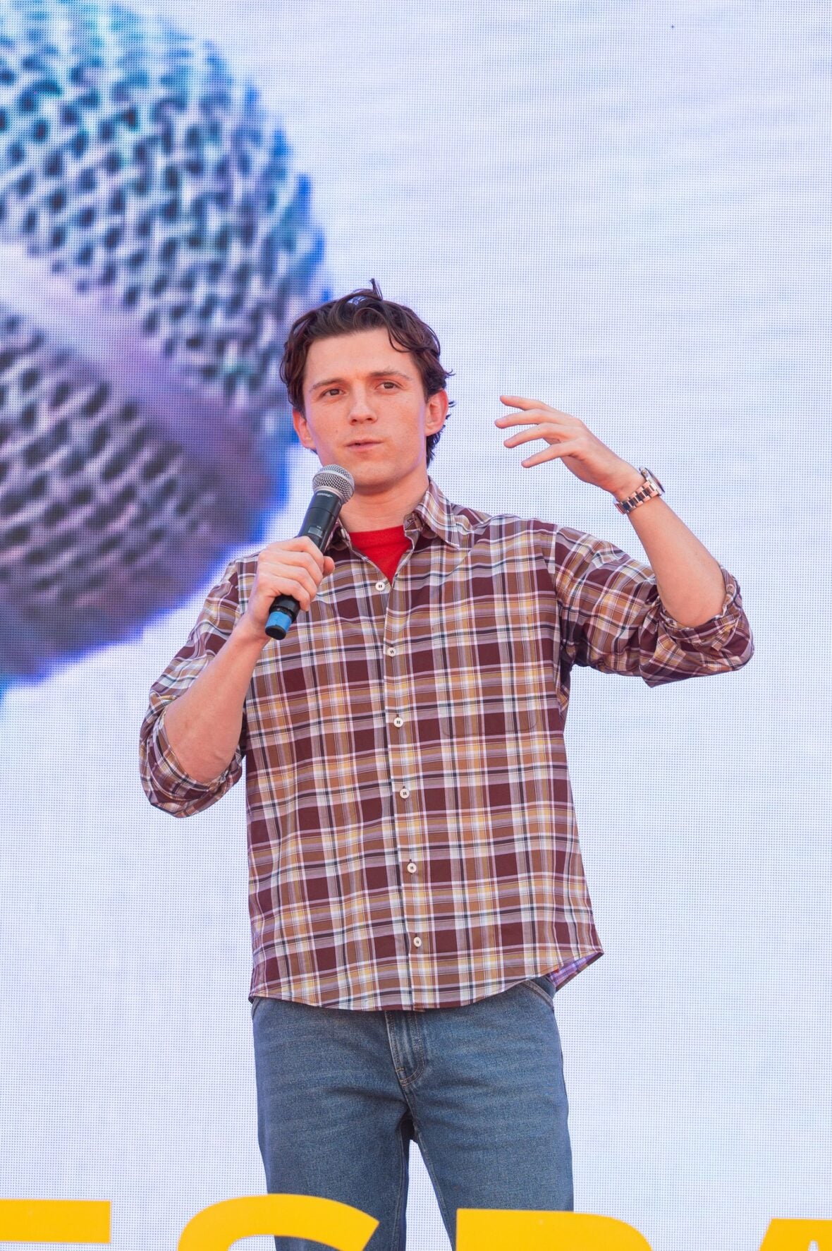 Tom Holland at the Spanish National Football Team's World Cup Kick-off Celebration