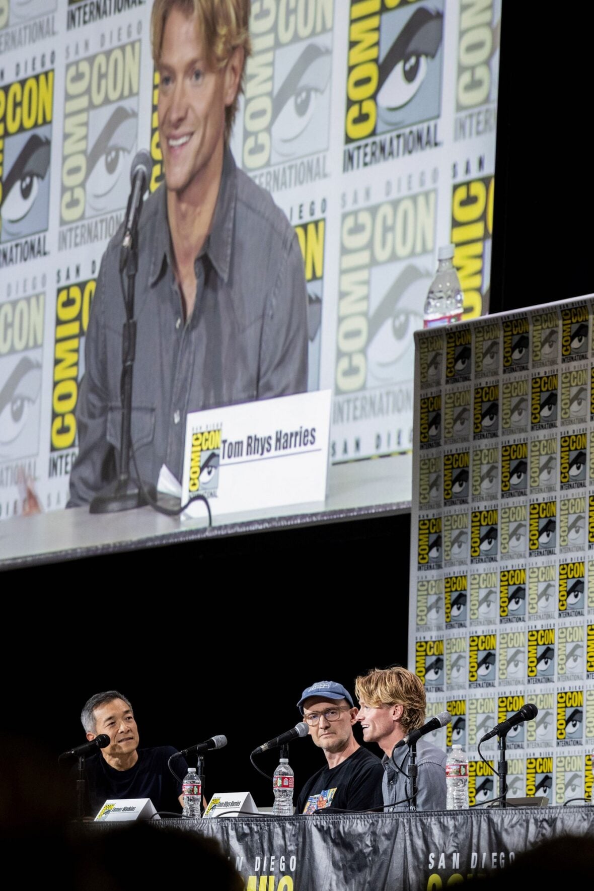 Tom Rhys Harries at Clayface panel at Comic-Con