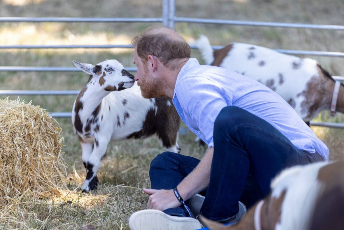 Prince Harry at 2026 Scotty's Summer Festival