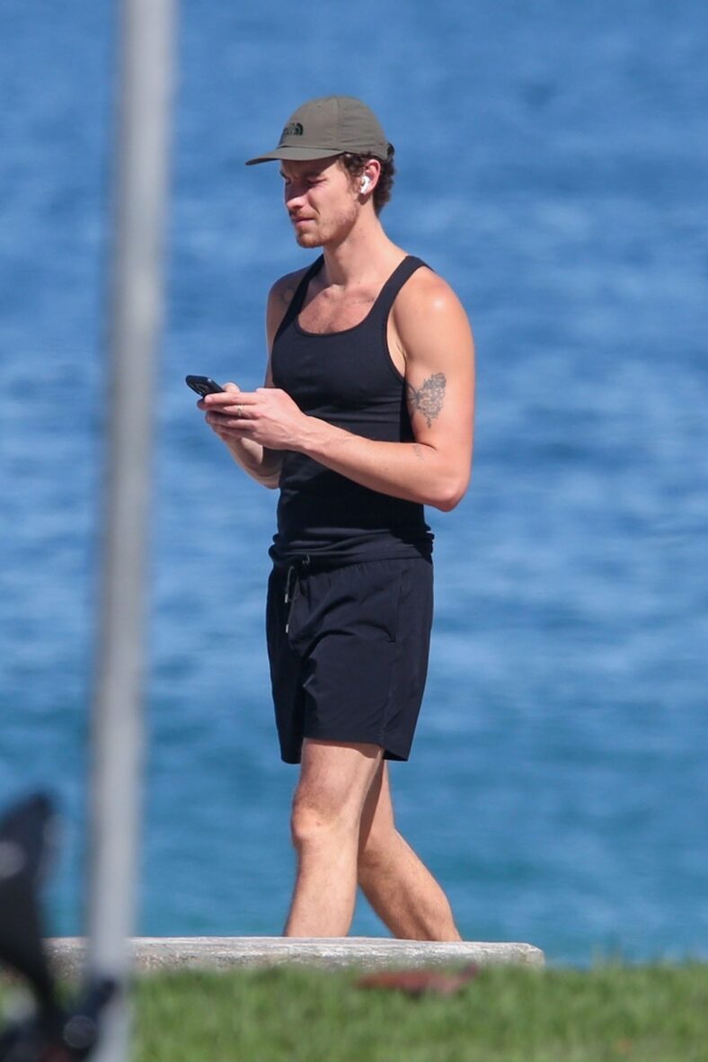 Shawn Mendes shirtless in Rio